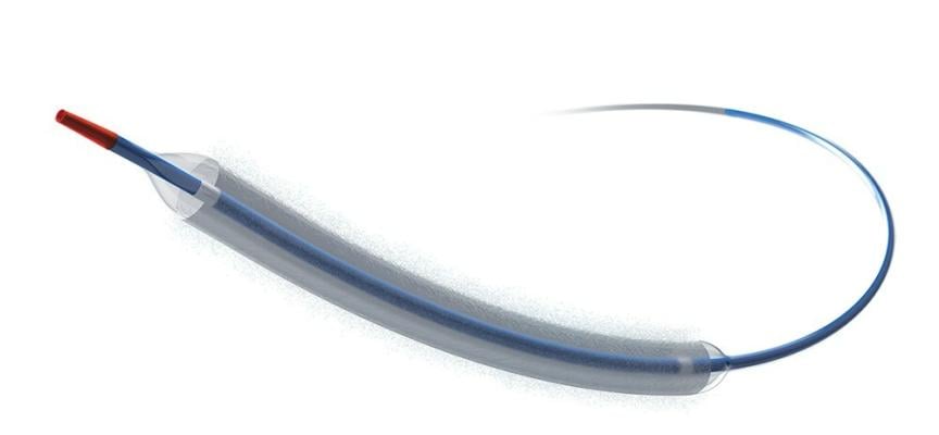Data from first coronary DCB study in U.S. meet 12-month primary endpoint, demonstrate low adverse event rates with AGENT DCB