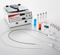 Japan’s PMDA asked for further details on a number of elements included in BioCardia’s CardiAMP preclinical and clinical packages in order to gain approval. 