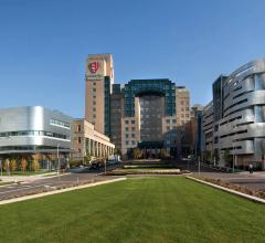 International Cardio-Oncology Society grants highest designation 