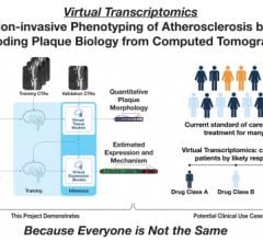 Early detection of high-risk plaque phenotypes holds the promise to prevent myocardial infarction and ischemic stroke by enabling personalized therapeutics. The company Elucid has developed AI to identify these atherosclerotic plaque phenotypes from a CT scan.
