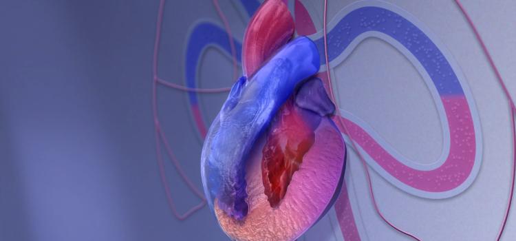 AHA Looks to Advance Access to Clinical Trials for Cardiomyopathy